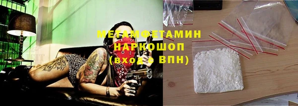 сатива Беломорск
