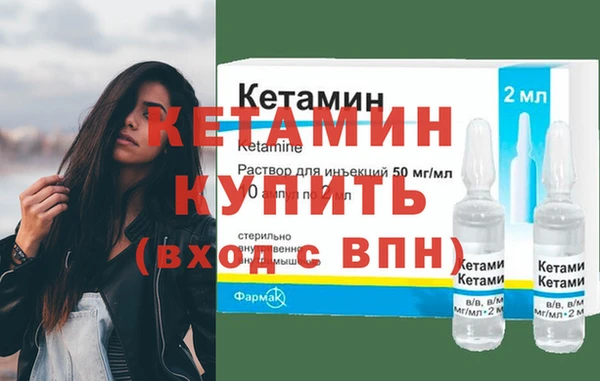 сатива Беломорск