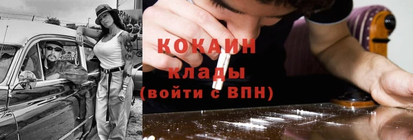 сатива Беломорск