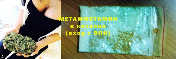 сатива Беломорск