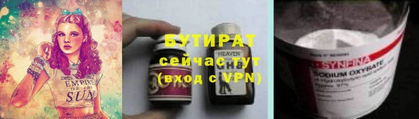 сатива Беломорск