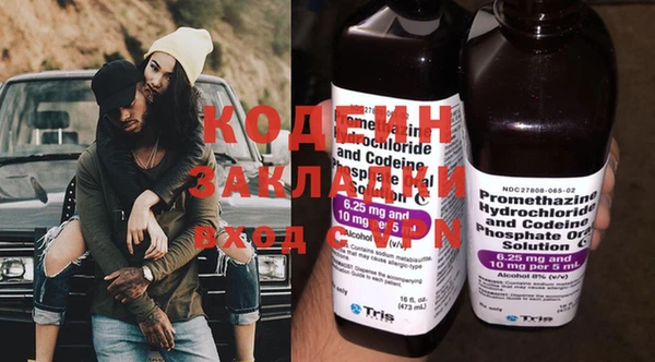сатива Беломорск