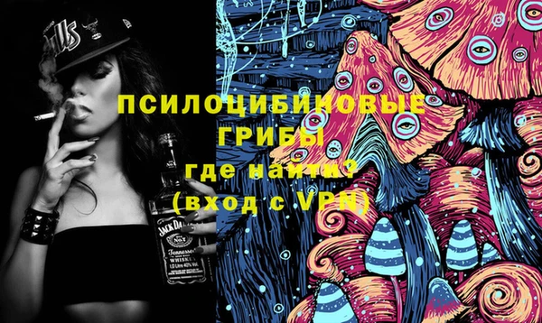 сатива Беломорск