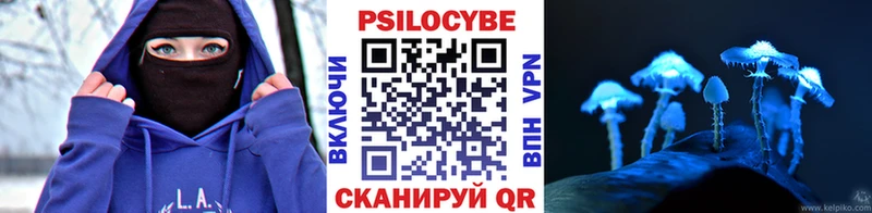 Псилоцибиновые грибы Psilocybe  Новосибирск 